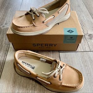 Sperry Brand New in box